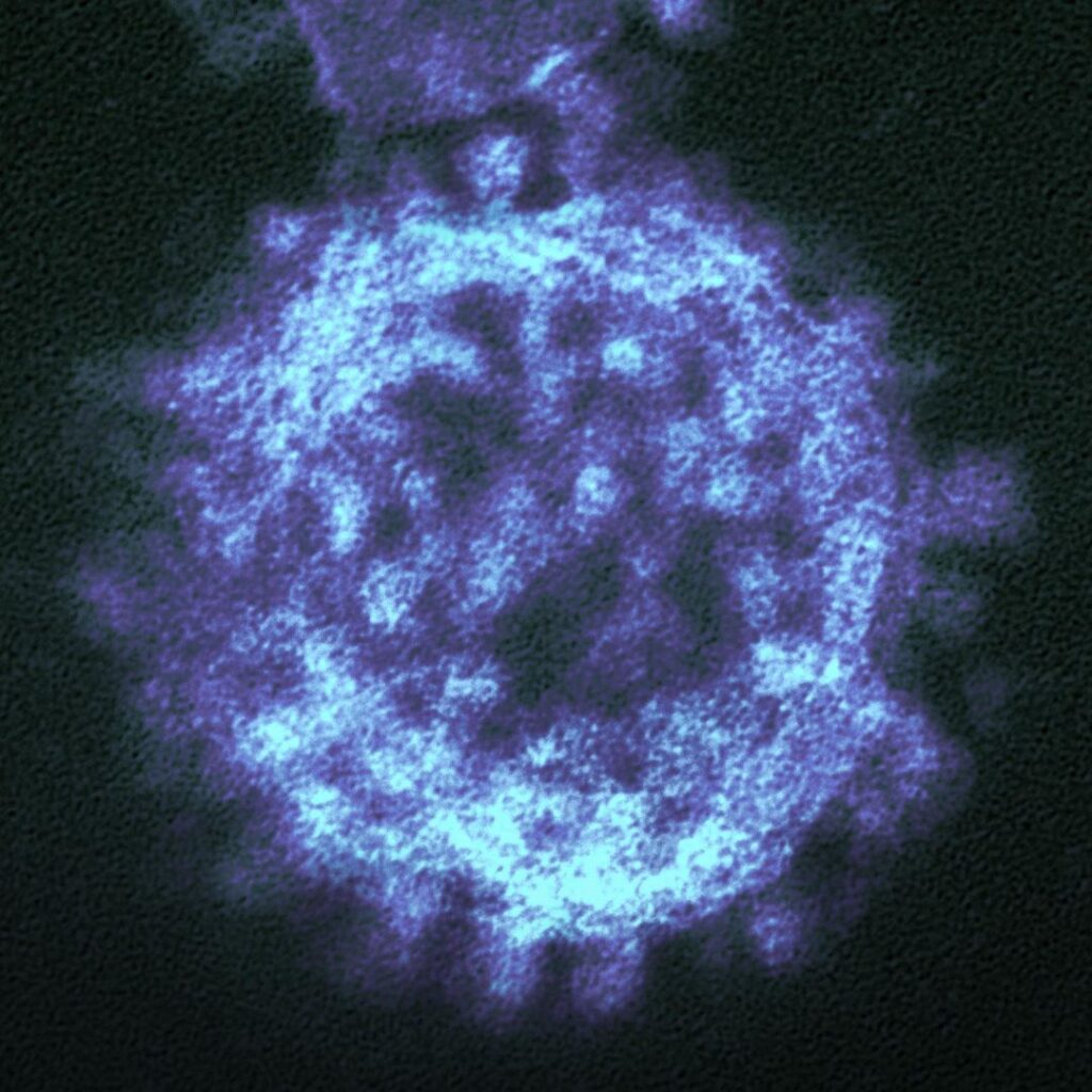 Mikroskopische, leuchtende Darstellung einer Zelle in Blautönen, die die Energie der Biophotonen und die Zellgesundheit in der Frequenzmedizin symbolisiert.