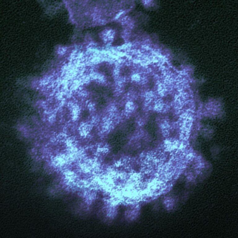 Mikroskopische, leuchtende Darstellung einer Zelle in Blautönen, die die Energie der Biophotonen und die Zellgesundheit in der Frequenzmedizin symbolisiert.