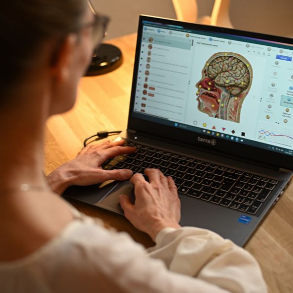 Am Laptop wird eine anatomische Darstellung für die computergestützte Frequenzanalyse im Rahmen der alternativen Frauenheilkunde Hamburg ausgewertet.